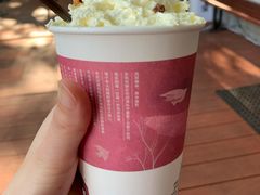-茶颜悦色(岳麓山顶店)