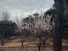 -迎泽公园
