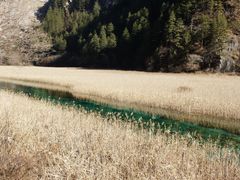 -九寨沟-树正沟