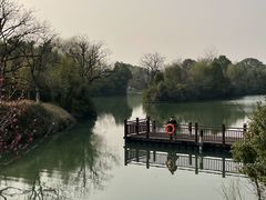 -西溪国家湿地公园