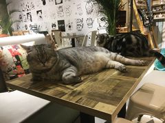 -小时光咖啡馆(开森度假森林店)