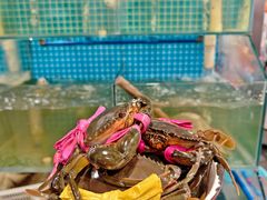 -辣螃铠盆盆蟹大排档(总店)