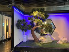 -绿茶餐厅(成都大悦城店)