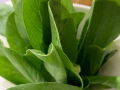 -新招鲜(桃浦路店)