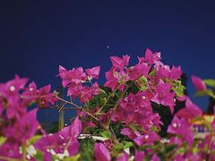 -阿欢牛肉店·火锅·粿条面