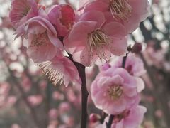 -蜀冈西峰生态公园