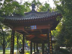 -莲湖公园