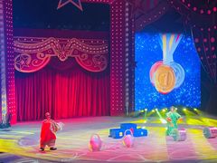 -珠海横琴长隆《卡卡虎奇遇记》