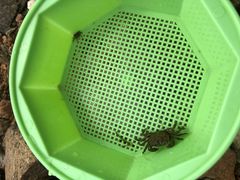 -东戴河风景区-止锚湾