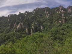-王顺山国家森林公园