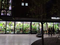 -Soloist 独奏公司(798店)