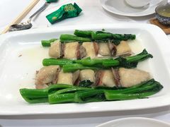 广州文昌鸡-广州酒家(文昌总店)