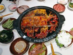 -卤校长老火锅(杨家坪直营店)