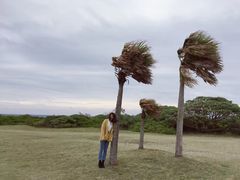 -七星潭蓝天广场