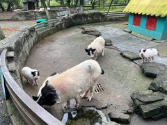 -宁波野生动物园