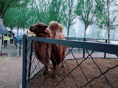 -长白岛森林公园