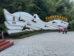 -西双版纳原始森林公园