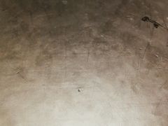 -新仙清汤牛腩(铜锣湾店)
