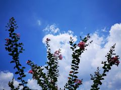 -白塘生态植物园