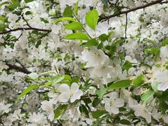 -元大都城垣遗址公园