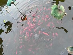 -八大处公园