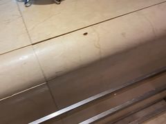 -萧邦音乐会所KTV·蒸汽活海鲜自助(福田店)