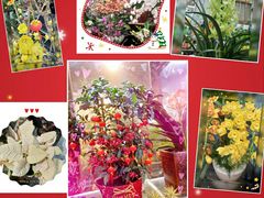 -双季花艺园艺市场(浦东店)