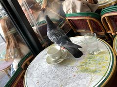 -花神咖啡馆