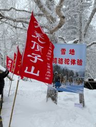 -大秃顶子山