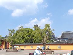 -上海东林寺(金山区)