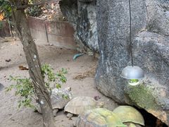 -清迈夜间动物园