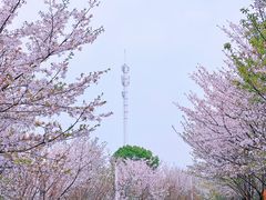 -大宁公园