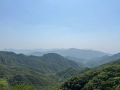 -大岭沟猕猴桃谷风景区