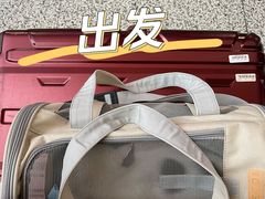 -申普宠物医院·心脏介入·心血管微创(总院)