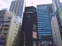 -秋叶原电器街