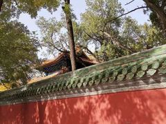 -北京国子监胡同