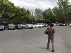 -大宁郁金香公园-停车场