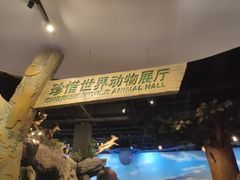 -陕西自然博物馆