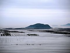 -北岐滩涂