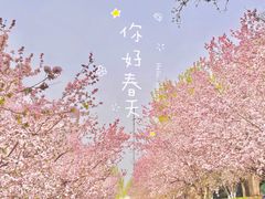 -海棠花溪(元大都城垣遗址公园)