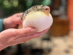 -永安鱼庄·镇江菜(丁卯店)