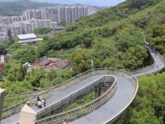 -福道