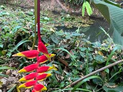 -中国科学院西双版纳热带植物园