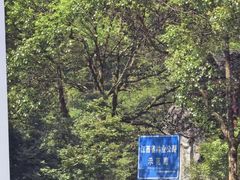 -五龙源极限漂流