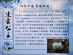 -青藏高原野生动物园