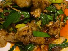 回锅肉-陈麻婆豆腐总店