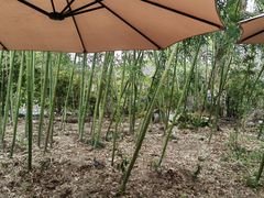 -小河无名面馆