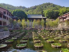 -石峰岩寺