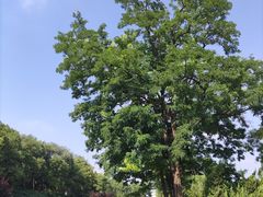 -元大都城垣遗址公园