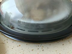 -港畔赶海蒸汽海鲜烧烤自助(仙螺岛店)